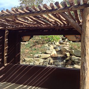 New Red Wolf Viewing - waterfall view