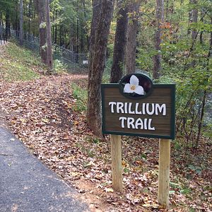new entrance to the Trillium nature trail