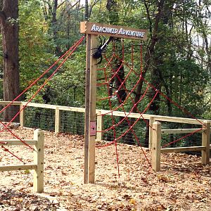 Arachnid Adventure Playground entrance