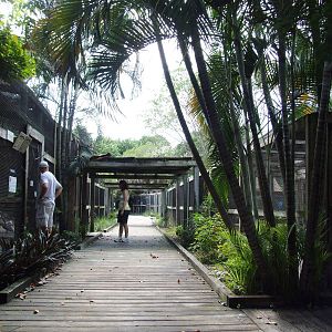 General View at Save our Seabirds, 07/10/13