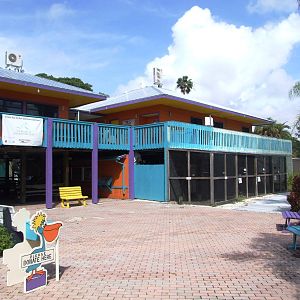 Main Building and Aviaries at Save our Seabirds, 07/10/13