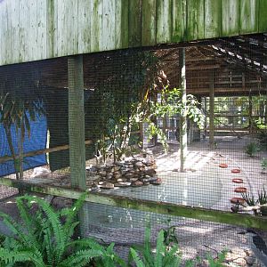 Wading Bird Aviary at Save our Seabirds, 07/10/13