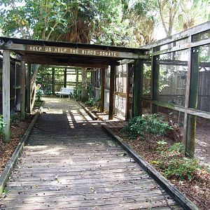 General View at Save our Seabirds, 07/10/13