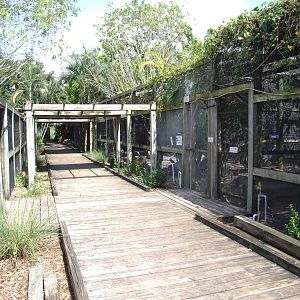 General View at Save our Seabirds, 07/10/13