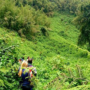 volcanoes national park