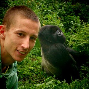 me and the silverback