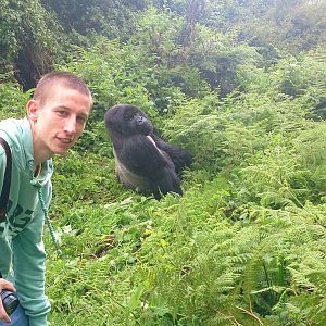 me and the silverback