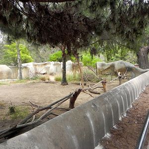 Work being done on the ungulate exhibits.