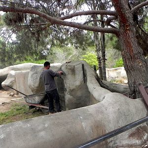 Work being done on the ungulate exhibits