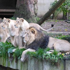 Lucifer and his Daughters