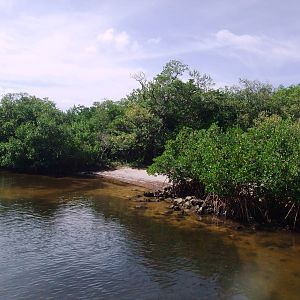 Cayo Costa, October 2013