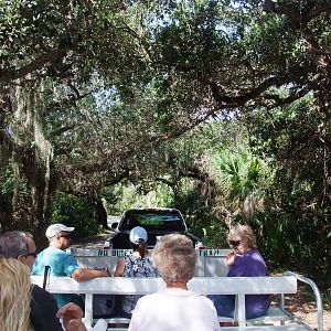 Cayo Costa, October 2013