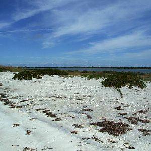 Cayo Costa, October 2013