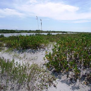 Cayo Costa, October 2013