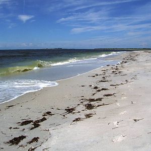 Cayo Costa, October 2013