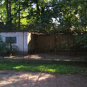 Big Cat enclosure view