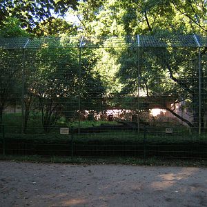 View of Tiger enclosure
