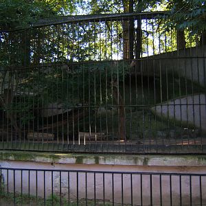 View of Brown Bear enclosure