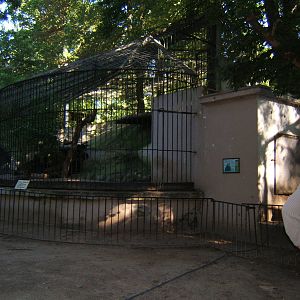 View of Brown Bear enclosure