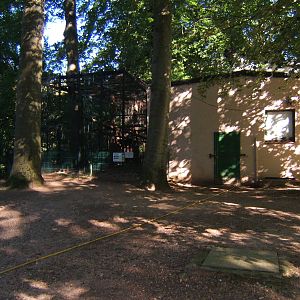 View of Chimpanzee House and enclosure