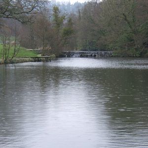 View of Weir