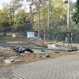 Cranes' aviary - construction site