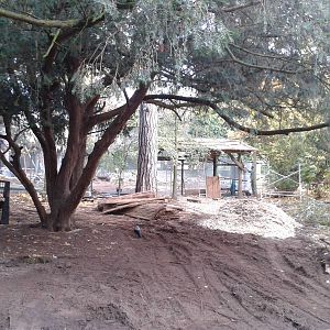 Cranes' aviary - construction site