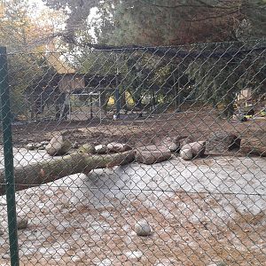 Cranes' aviary - construction site
