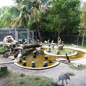 Pelican Pool at Peace River Wildlife Centre, 09/10/13