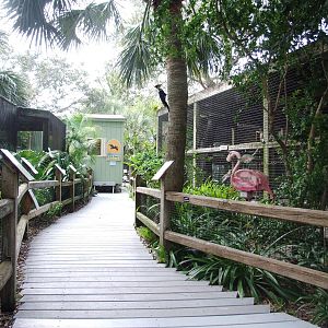 General View at Peace River Wildlife Centre, 09/10/13