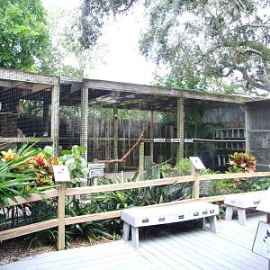 Bird of Prey Aviaries at Peace River Wildlife Centre, 09/10/13