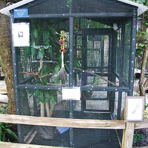 Owl Aviary at Peace River Wildlife Centre, 09/10/13