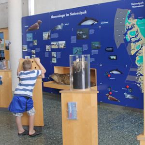 Information-wall about the mammals of the Wadden-sea