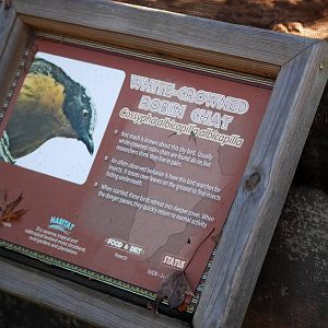 Signage Example at Jacksonville, 10/10/13