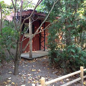 Alligator Alley- Free-Flight Aviary