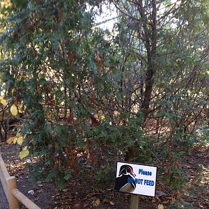 Alligator Alley- Free-Flight Aviary