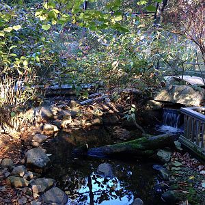 Alligator Alley- Free-Flight Aviary