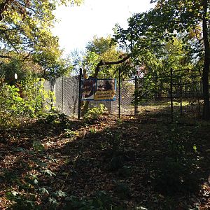 Future Home of Andean Bears