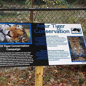 Predators- New Tiger Conservation Sign