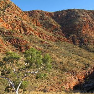 Ormiston Gorge, West MacDonnell National Park, NT