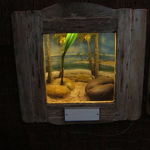 Eductaion exhibit that is to become an animal exhibit