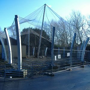 Banham Zoo, December 2008