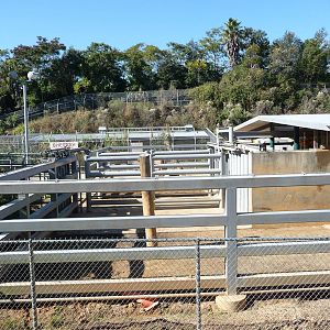 Behind the Scenes Shots