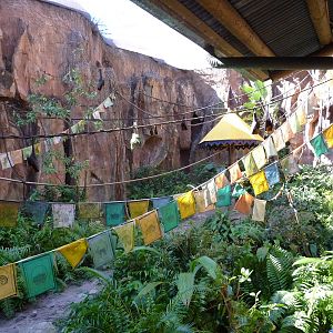 Rodrigues and Malayan Flying Fox Exhibit