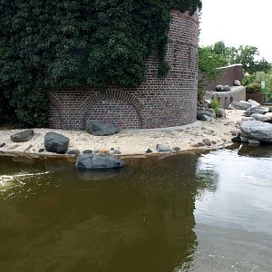Leipzig Zoo - Fur seal exhibit