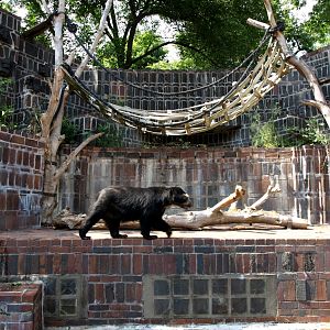 Leipzig Zoo - Bear Castle