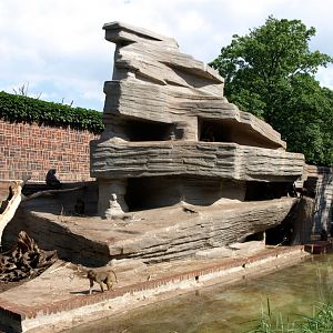 Leipzig Zoo - Baboon exhibit