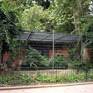 Leipzig Zoo - Snowleopard exhibit
