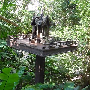 Asian Walk-Through Aviary