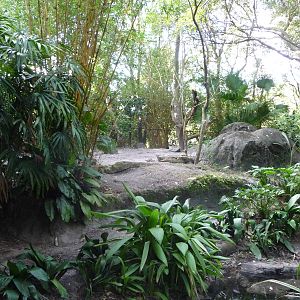 Giant Anteater Exhibit